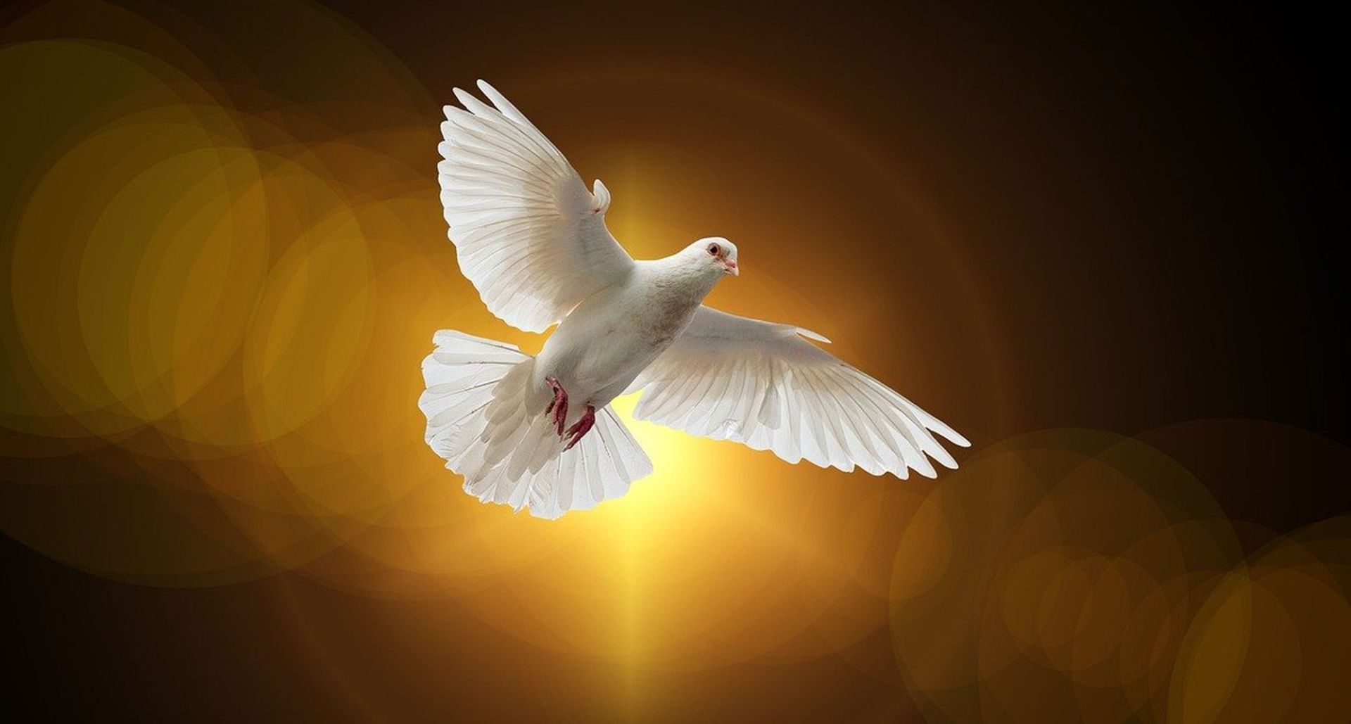 Czuwanie przed Zesłaniem Ducha Świętego