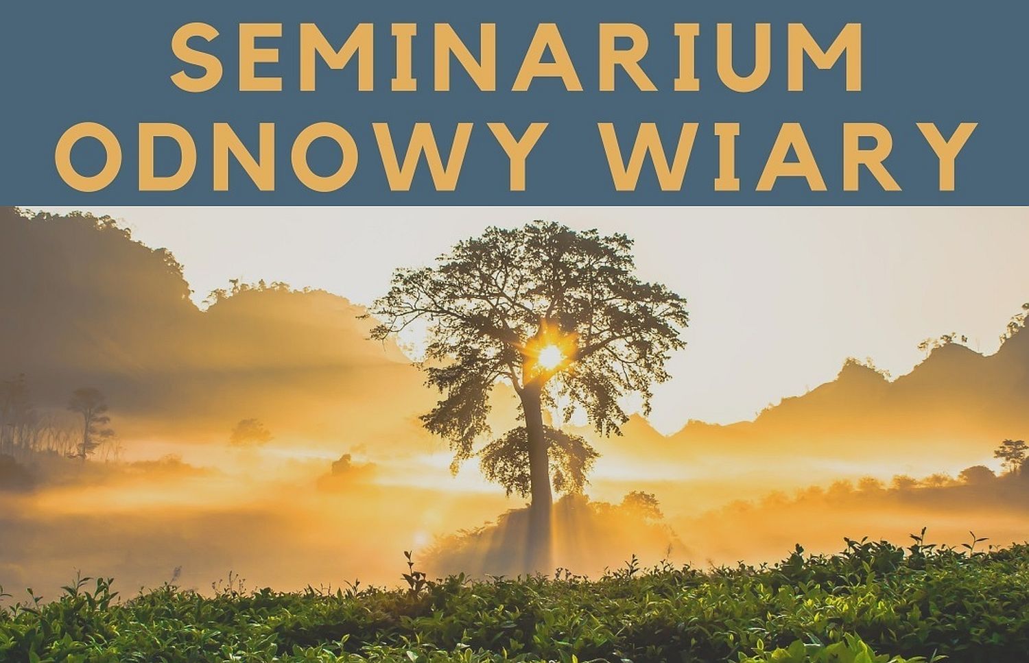 Seminarium odnowy wiary
